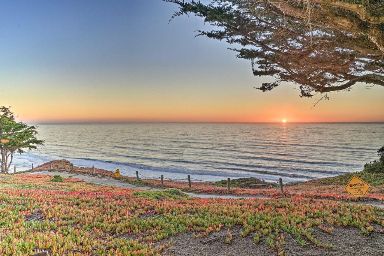 Cliffside Pacifica Hideaway Unbeatable View! Apartment Exterior foto