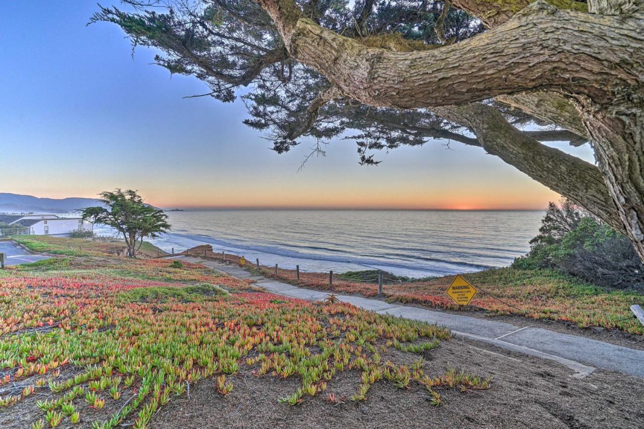 Cliffside Pacifica Hideaway Unbeatable View! Apartment Exterior foto
