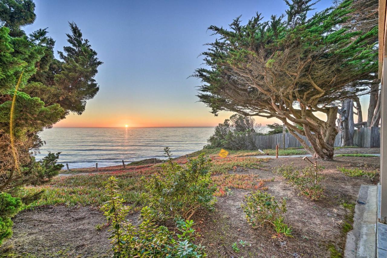 Cliffside Pacifica Hideaway Unbeatable View! Apartment Exterior foto